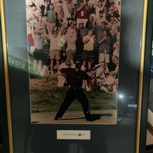 Tiger Woods Framed Golf Celebration Photo